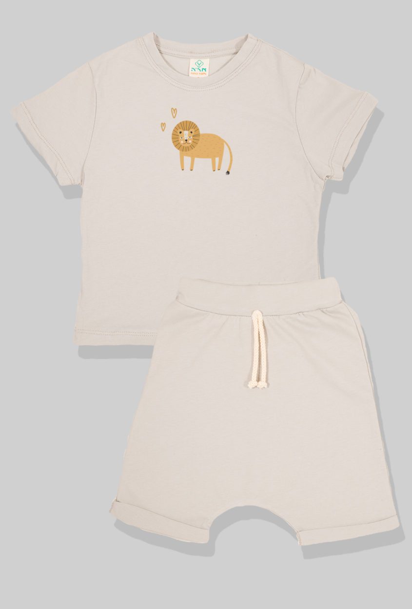 Nursery Set - Top & Pants - Lion - Light Gray (2-5 Years)